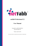 netfabb Professional 5.2 User Manual