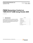 PMSM Sensorless Control on TWR