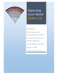 Expanding Grain Model [EGM v1.0] - Illinois Institute of Technology