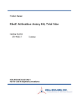 RhoC Activation Assay Kit, Trial Size