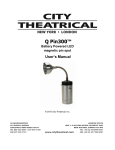 Q Pin300™ manual - City Theatrical