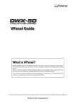 VPanel User Manual