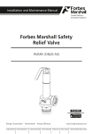 Forbes Marshall Safety Relief Valve