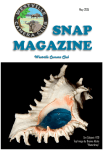 SNAP  – May 2015 - The Westville Camera Club