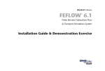 FEFLOW® 6.1