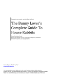 The Bunny Lover`s Complete Guide To House