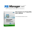 Data Comparer for PostgreSQL - User`s Manual