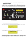 User`s manual to”Beril” ion electronic boiler control block