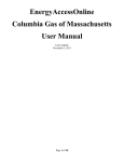 EnergyAccessOnline User Manual[1]