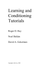 Ray, R. D., Belden, N. R. & Eckerman, D. A. (2005). Learning tutorial