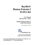 RayBio® Human Eotaxin-2 ELISA Kit