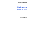 FileDirector Enterprise Manager