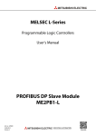 User`s Manual for Profibus DP Slave Module