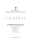 The COMPASS Examples Compendium