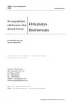 Rat VEGF R-2 ELISA Kit Manual