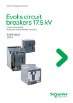 Evolis circuit breakers 17.5 kV
