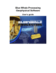 Blue Whale Processing Geophysical Software