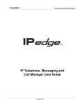 IPedge IP Telephone, Message and Call Manager User