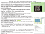 to a pdf of this page