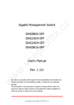Gigabit Management Switch SWG0802-SFP