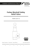 Forbes Marshall Safety Relief Valve