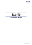 SL1100 Programming Manual - Comm