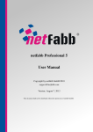 netfabb Professional 5 User Manual