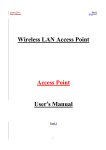 Wireless LAN Access Point Access Point User`s Manual