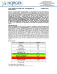 Urine - Based HPV (High Risk)