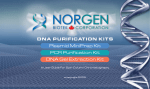 Norgen DNA Purification Guide