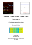 Multilocus Variable Number Tandem Repeat - MIRU