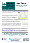 Mole Survey PDF