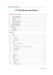 IP 1 SIP Gateway User Manual