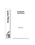 BridgeVIEW User Manual