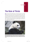 The Rule of Thirds