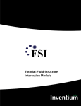 Inventium-FSI Training Manual