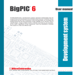 BigPIC6 Development System User Manual