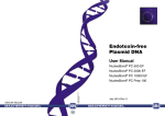 Endotoxin-free Plasmid Purification