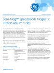 Sera-Mag™ SpeedBeads Magnetic Protein A/G Particles