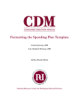 Formatting the Spending Plan Template