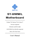 SY-6IWM/L Motherboard