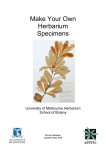 Make Your Own Herbarium Specimens