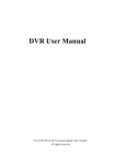 DVR User Manual - Security