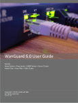 WanGuard User Guide