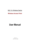 Wireless Access Point User Manual