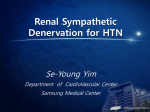Renal Sympathetic Denervation for HTN