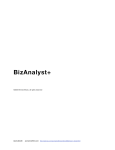 BizAnalyst Manual