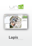 100531 Lapis User Manual Typo EN
