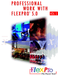 Professional work with FlexPro 5.0