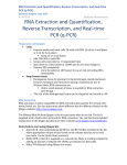 RNA Extraction and Quantification, Reverse Transcription, and Real